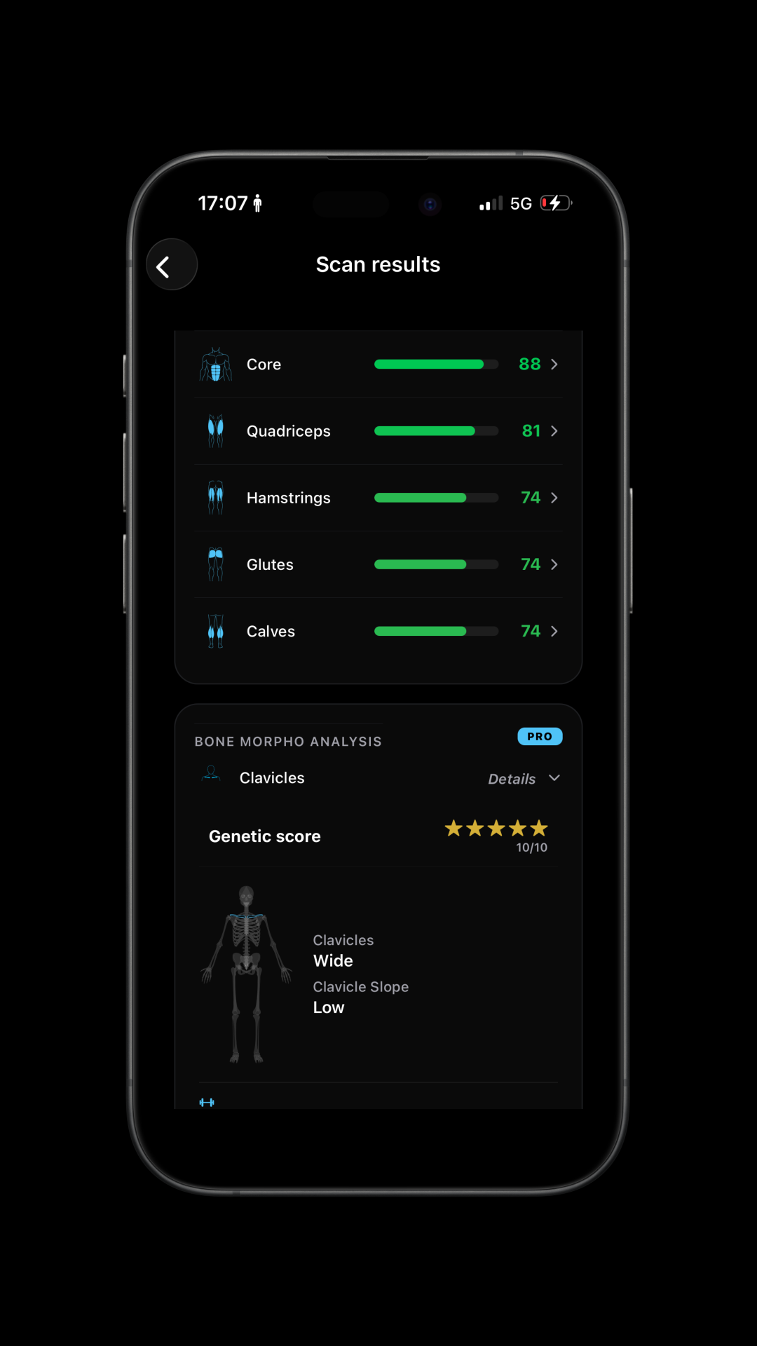 Muscle scores and morphology